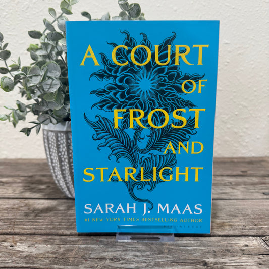 A Court of Frost And Starlight: A Court of Thorns and Roses #3.5