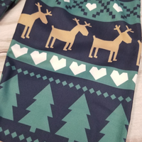 Reindeer & Tree Hooded Outfit